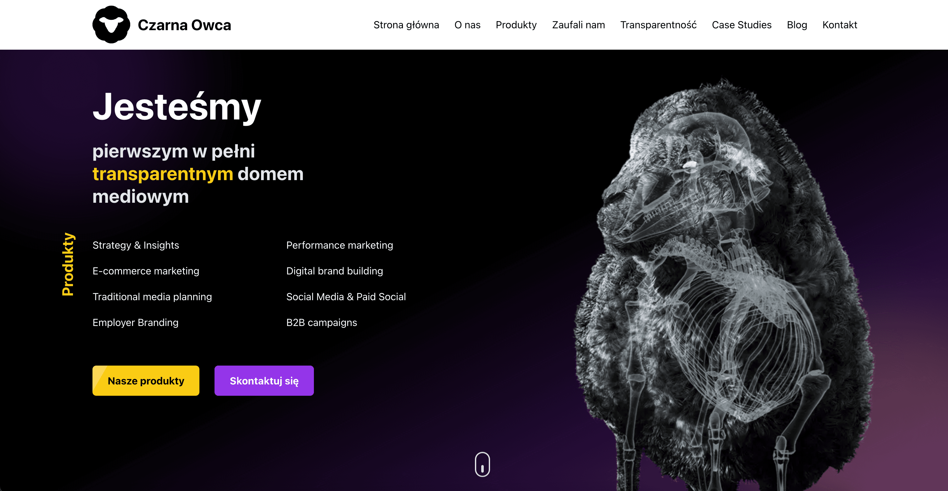 Czarna Owca Website Revamp preview